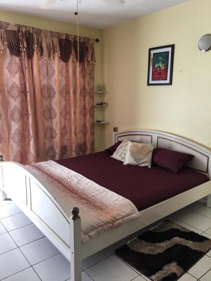#D1 Castle Studio Wifi King Bed Ocho Rios Jamaica エクステリア 写真
