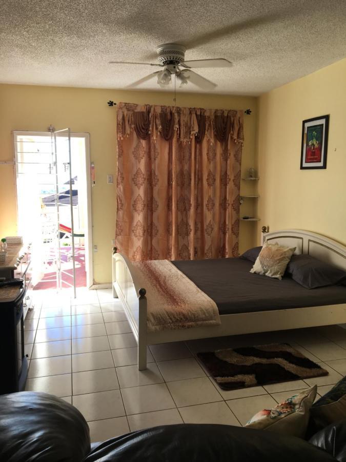 #D1 Castle Studio Wifi King Bed Ocho Rios Jamaica エクステリア 写真
