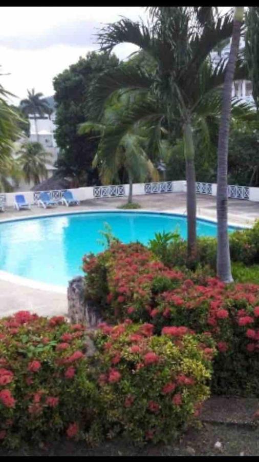 #D1 Castle Studio Wifi King Bed Ocho Rios Jamaica エクステリア 写真