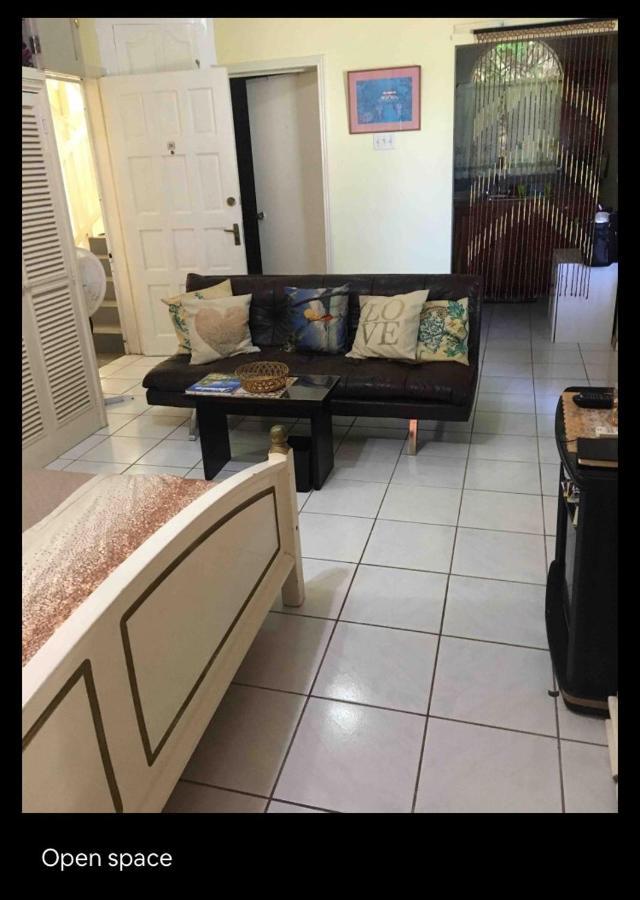 #D1 Castle Studio Wifi King Bed Ocho Rios Jamaica エクステリア 写真